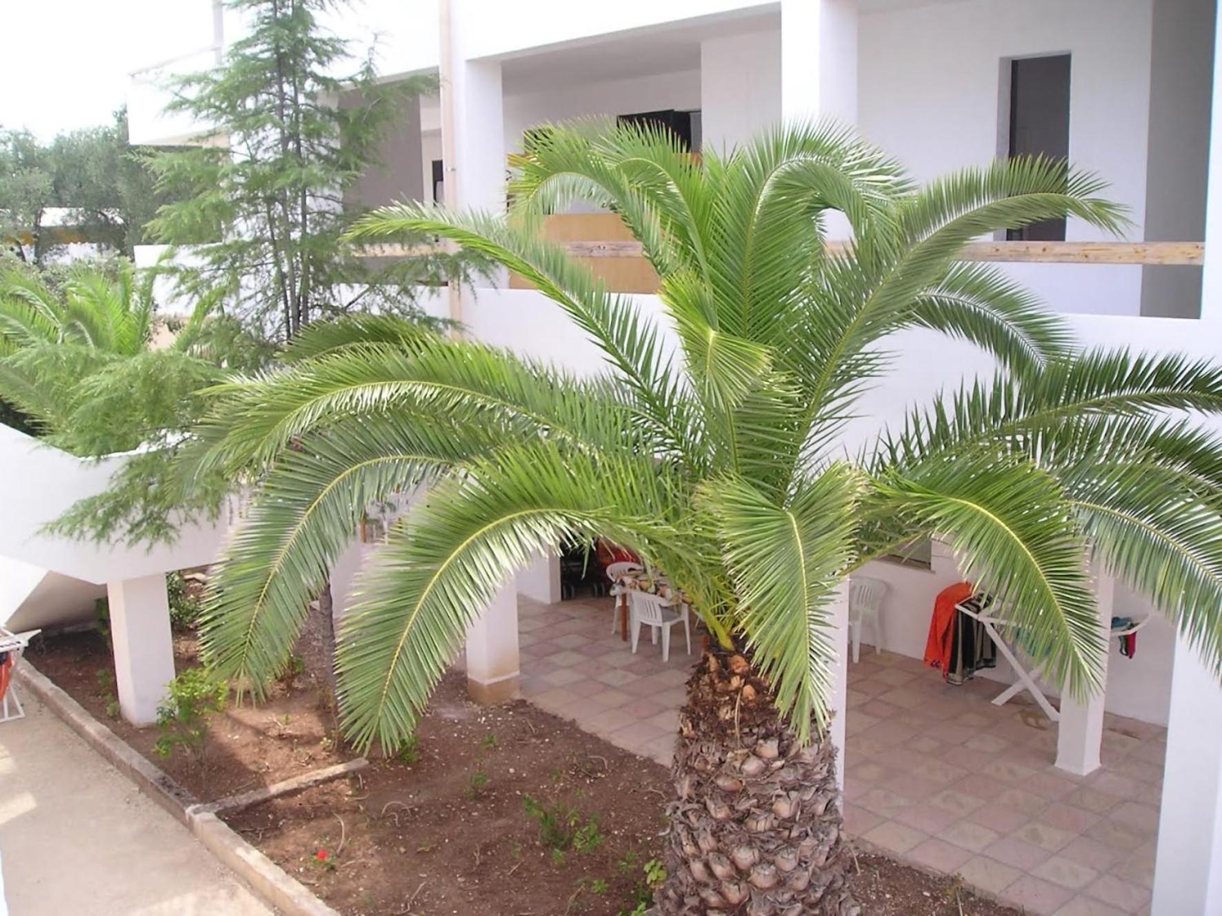 Appartamenti Gallo Club Вьесте Экстерьер фото